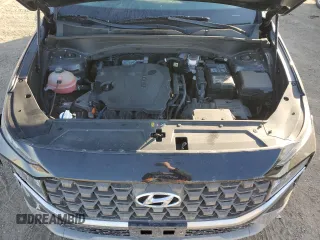 2021 Hyundai Santa Fe SE with VIN 5NMS1DAJXMH329833, listed as a Copart auction lot 42905865 with 116,308 mi miles and Salvage Title. Bid and sale history available at carsss.com. Image 12.