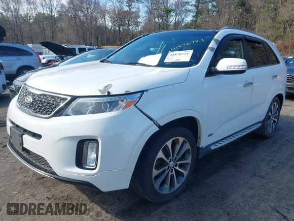 2014 Kia Sorento SX Limited with VIN 5XYKWDA76EG441420, listed as a IAAI auction lot 41876721 with 173,021 mi miles. Bid and sale history available at carsss.com. Image 17.