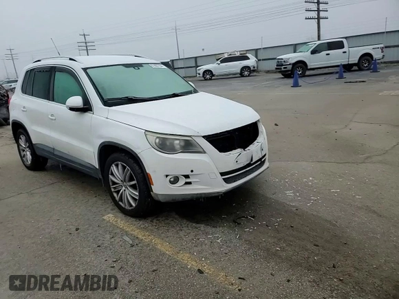 2010 Volkswagen Tiguan SEL with VIN WVGBV7AX8AW530953, listed as a Copart auction lot 81807704 with 146,558 mi miles and Salvage Title. Bid and sale history available at DreamBid. Image 12.