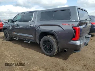 2023 Toyota Tundra Limited with VIN 5TFJA5DB8PX083947, listed as a Copart auction lot 59283695 with 19,089 mi miles and Salvage title. Bid and sale history available at DreamBid. Image 2.