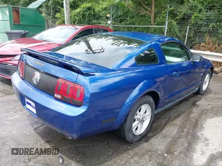 2006 Ford Mustang Standard with VIN 1ZVFT80N365125546, listed as a IAAI auction lot 42659162 with 221,544 mi miles and . Bid and sale history available at DreamBid. Image 4.