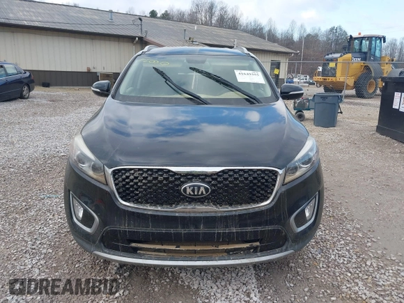2017 Kia Sorento EX with VIN 5XYPHDA54HG323420, listed as a IAAI auction lot 41649355 with Not Provided miles and . Bid and sale history available at DreamBid. Image 11.