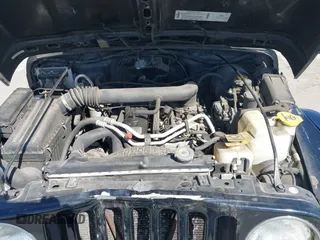 2001 Jeep Wrangler Sahara z VIN 1J4FA59S41P313113, wystawiony jako IAAI lot #42266173 z przebiegiem 125 792 mil mil oraz . Historia ofert i sprzedaży dostępna na DreamBid. Obrazek 10.