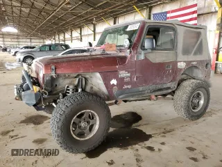 2003 Jeep Wrangler Sahara with VIN 1J4FA59S03P336844, listed as a Copart auction lot 49290345 with 167,726 mi miles and Salvage Title. Bid and sale history available at carsss.com. Image 1.