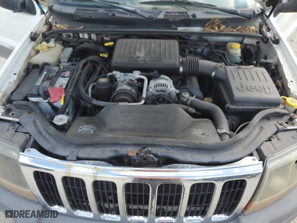 2002 Jeep Grand Cherokee Laredo with VIN 1J4GW48N02C205818, listed as a Copart auction lot 44737205 with 136,030 mi miles and Salvage Title. Bid and sale history available at carsss.com. Image 12.