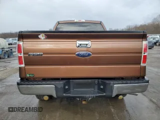 2011 Ford F-150 XL with VIN 1FTFX1ET7BKE14723, listed as a Copart auction lot 50583885 with 118,935 mi miles and Salvage Title. Bid and sale history available at DreamBid. Image 6.