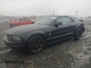 2008 Ford Mustang Deluxe with VIN 1ZVHT84N185109996, listed as a Copart auction lot 52171085 with 141,092 mi miles and Salvage Title. Bid and sale history available at carsss.com. Image 1.