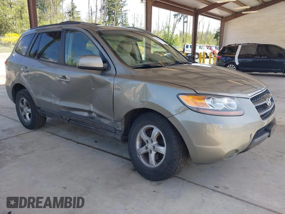 2007 Hyundai Santa Fe GLS с VIN 5NMSG73D87H065488, выставлен на аукционе IAAI как лот 42352837 с пробегом 209 900 миль миль и . История ставок и продаж доступна на DreamBid. Изображение 1.