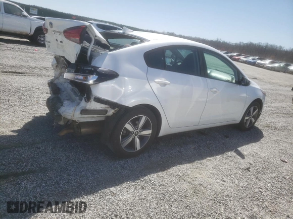 2018 Kia Forte LX with VIN 3KPFL4A75JE225608, listed as a Copart auction lot 49241415 with 188,236 mi miles and Salvage Title. Bid and sale history available at carsss.com. Image 3.