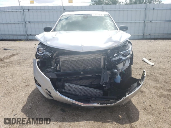 2020 Chevrolet Equinox LS with VIN 3GNAXFEV7LS726479, listed as a Copart auction lot 57984975 with 89,438 mi miles and Salvage title. Bid and sale history available at DreamBid. Image 5.