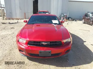 2011 Ford Mustang V6 with VIN 1ZVBP8AM4B5145257, listed as a IAAI auction lot 41817452 with 115,114 mi miles and . Bid and sale history available at carsss.com. Image 12.