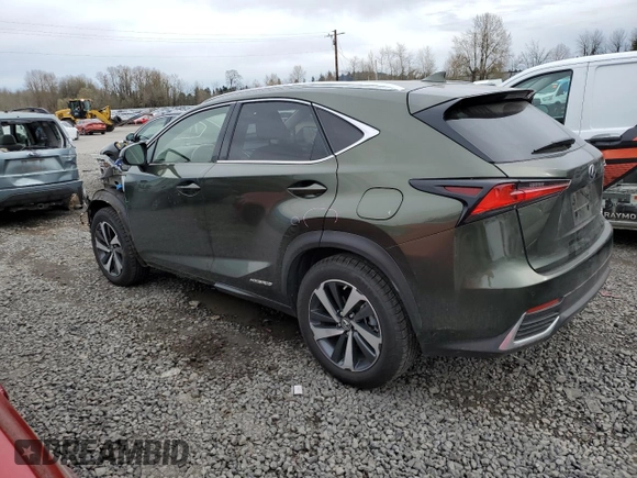 2021 Lexus NX 300h with VIN JTJGJRDZ9M2155016, listed as a Copart auction lot 49876235 with 43,870 mi miles and Salvage title. Bid and sale history available at DreamBid. Image 2.