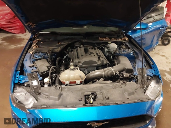 2019 Ford Mustang EcoBoost with VIN 1FA6P8TH7K5173788, listed as a IAAI auction lot 41575554 with 66,222 mi miles and . Bid and sale history available at carsss.com. Image 10.