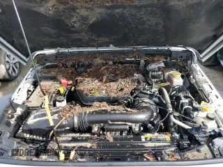 2024 Jeep Wrangler Sport S z VIN 1C4PJXAN9RW136328, wystawiony jako Copart lot #73871304 z przebiegiem Nie podano mil oraz Nie do naprawy • Non repairable. Historia ofert i sprzedaży dostępna na DreamBid. Obrazek 11.