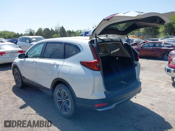 2020 Honda CR-V EX with VIN 7FARW1H51LE025351, listed as a IAAI auction lot 42049979 with 83,211 mi miles and . Bid and sale history available at DreamBid. Image 3.