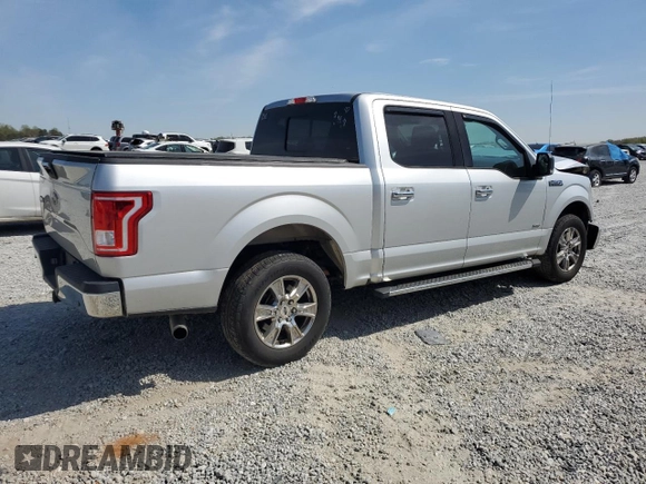 2016 Ford F-150 XL with VIN 1FTEW1CG4GKD40804, listed as a Copart auction lot 50699595 with 116,489 mi miles and Salvage Title. Bid and sale history available at DreamBid. Image 3.
