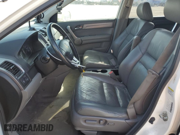 2008 Honda CR-V EX-L with VIN JHLRE38728C053663, listed as a Copart auction lot 49199545 with 143,208 mi miles and Salvage Title. Bid and sale history available at carsss.com. Image 7.