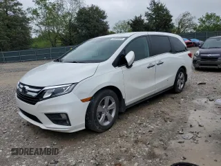 2020 Honda Odyssey EX-L with VIN 5FNRL6H76LB064052, listed as a Copart auction lot 53358455 with 58,167 mi miles and Salvage Title. Bid and sale history available at carsss.com. Image 1.
