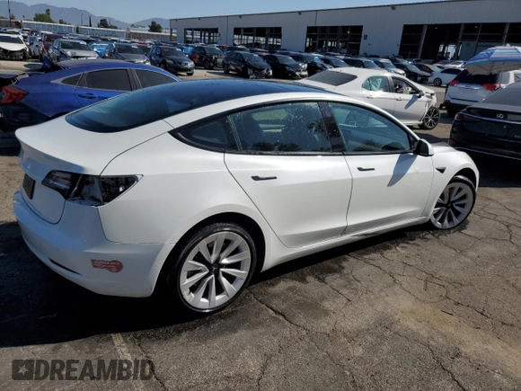 2023 Tesla Model 3 with VIN 5YJ3E1EA7PF450343, listed as a Copart auction lot 52446595 with 36,137 mi miles and Salvage Title. Bid and sale history available at DreamBid. Image 3.