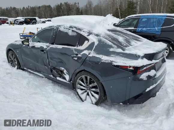 2021 Lexus IS with VIN JTHG81F24M5046606, listed as a Copart auction lot 43003795 with 95,641 mi miles and Salvage Title. Bid and sale history available at carsss.com. Image 2.