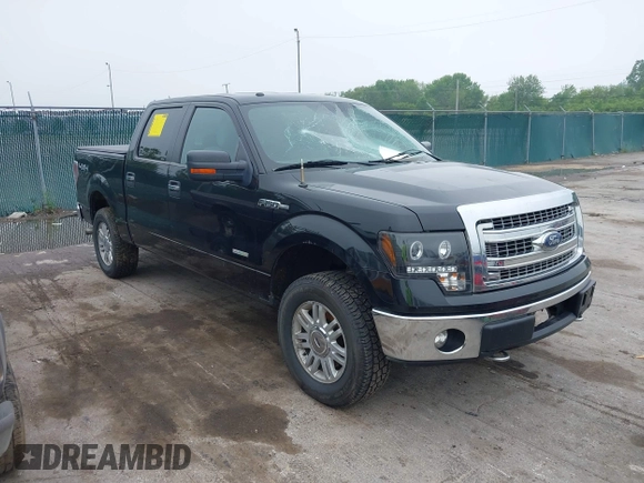 2014 Ford F-150 XL with VIN 1FTFW1ET9EFB75417, listed as a IAAI auction lot 42449180 with 219,028 mi miles and . Bid and sale history available at DreamBid. Image 1.