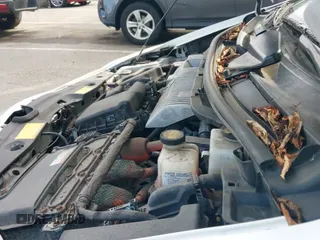 2013 Toyota Prius with VIN JTDKN3DP5D3045118, listed as a IAAI auction lot 42798113 with 193,142 mi miles and . Bid and sale history available at DreamBid. Image 20.