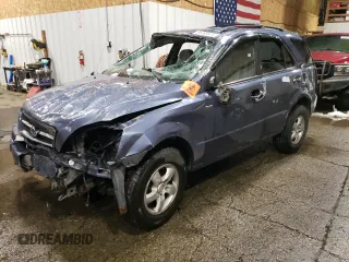 2006 Kia Sorento LX with VIN KNDJD733465542429, listed as a Copart auction lot 85265974 with Not Provided miles and Non Repairable. Bid and sale history available at carsss.com. Image 1.