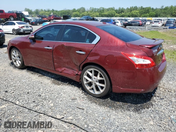2011 Nissan Maxima SV with VIN 1N4AA5AP5BC850823, listed as a Copart auction lot 60701225 with 78,584 mi miles and Salvage title. Bid and sale history available at DreamBid. Image 2.