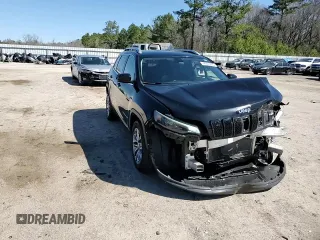 2019 Jeep Cherokee Latitude Plus with VIN 1C4PJLLB4KD202281, listed as a Copart auction lot 48633225 with 153,366 mi miles and Salvage Title. Bid and sale history available at DreamBid. Image 11.