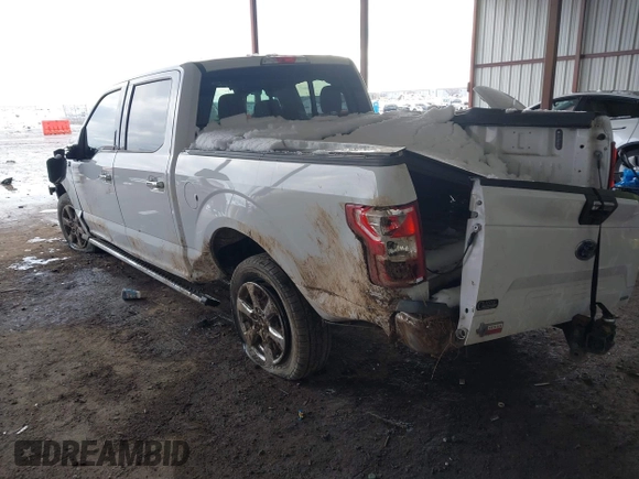 2019 Ford F-150 XL with VIN 1FTEW1CP7KKC75312, listed as a IAAI auction lot 41271422 with 135,228 mi miles and . Bid and sale history available at carsss.com. Image 3.