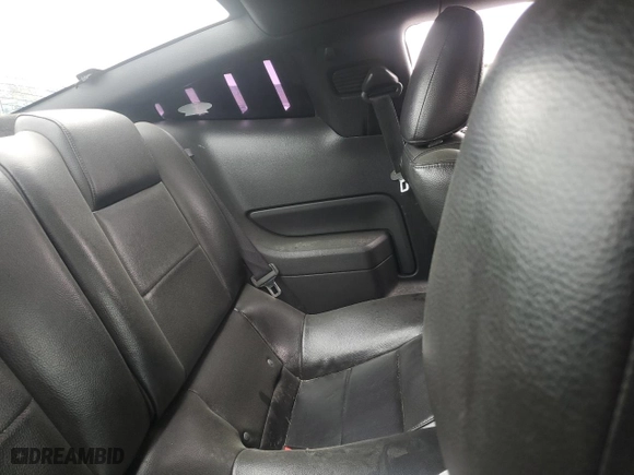 2005 Ford Mustang Deluxe with VIN 1ZVFT80N955110192, listed as a Copart auction lot 49981045 with 22,110 mi miles and Salvage Title. Bid and sale history available at carsss.com. Image 10.