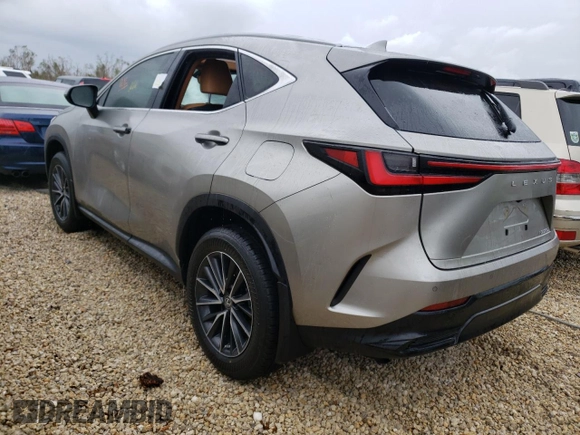 2022 Lexus NX with VIN 2T2GDCAZ0NC002101, listed as a Copart auction lot 62342662 with 0 mi miles. Bid and sale history available at carsss.com. Image 3.
