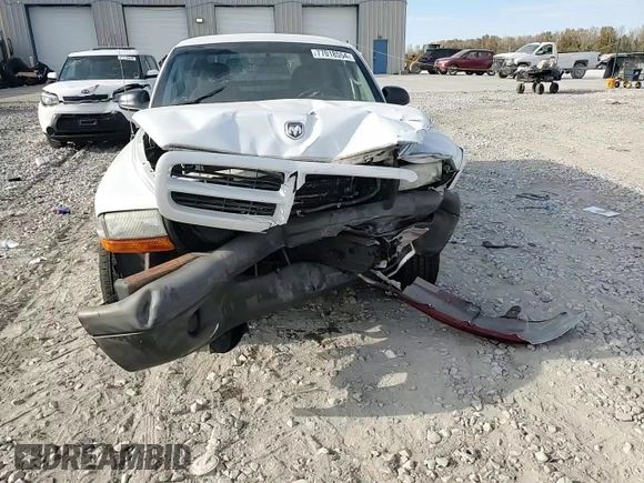 2003 Dodge Dakota with VIN 1D7FL16XX3S353971, listed as a Copart auction lot 77018554 with 0 mi miles and Salvage Title. Bid and sale history available at carsss.com. Image 11.