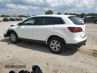 2013 Mazda CX-9 Sport with VIN JM3TB3BA8D0403624, listed as a Copart auction lot 60249494 with 191,894 mi miles and Salvage Title. Bid and sale history available at carsss.com. Image 2.