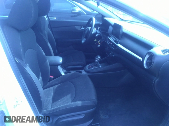 2019 Kia Forte LXS with VIN 3KPF24AD0KE029618, listed as a IAAI auction lot 35861552 with 117,818 mi miles and . Bid and sale history available at carsss.com. Image 5.