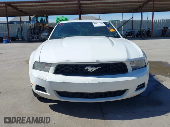 2012 Ford Mustang Premium with VIN 1ZVBP8AM2C5255855, listed as a IAAI auction lot 41812764 with 242,676 mi miles and . Bid and sale history available at DreamBid. Image 12.