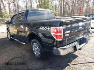 2009 Ford F-150 XL with VIN 1FTRW14829FB12059, listed as a IAAI auction lot 41686110 with 247,892 mi miles and . Bid and sale history available at DreamBid. Image 3.
