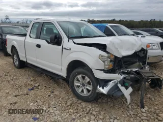 2017 Ford F-150 XL with VIN 1FTEX1CFXHFA67219, listed as a Copart auction lot 48943805 with 146,240 mi miles and Salvage Title. Bid and sale history available at carsss.com. Image 4.