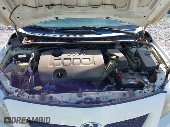 2010 Toyota Corolla with VIN 2T1BU4EEXAC389049, listed as a IAAI auction lot 41945303 with Not Provided miles and . Bid and sale history available at DreamBid. Image 10.