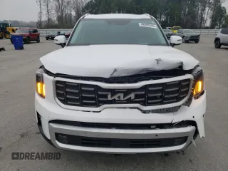 2024 Kia Telluride SX X-Pro with VIN 5XYP5DGC4RG544175, listed as a Copart auction lot 48980245 with 14,624 mi miles and Salvage title. Bid and sale history available at DreamBid. Image 5.