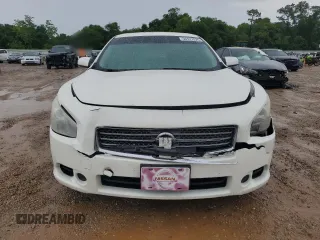 2010 Nissan Maxima S with VIN 1N4AA5AP0AC803438, listed as a Copart auction lot 56127025 with 189,922 mi miles and Salvage title. Bid and sale history available at DreamBid. Image 5.