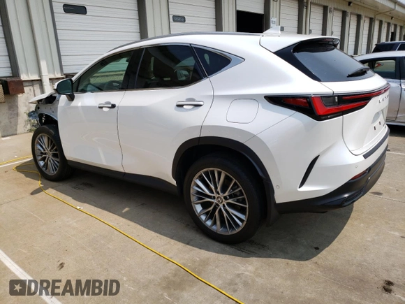 2024 Lexus NX 350h Luxury with VIN 2T2HKCEZ3RC020084, listed as a Copart auction lot 59913055 with 35,979 mi miles and Salvage title. Bid and sale history available at DreamBid. Image 2.