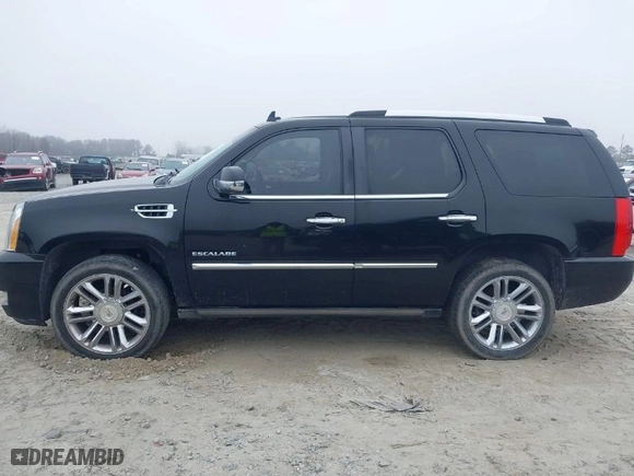2011 Cadillac Escalade Platinum Edition with VIN 1GYS3DEF9BR306854, listed as a IAAI auction lot 41200155 with 192,875 mi miles. Bid and sale history available at carsss.com. Image 14.
