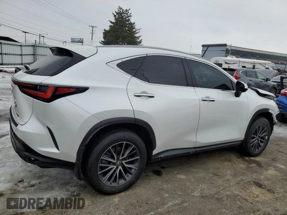 2024 Lexus NX 250 with VIN 2T2ADCAZ6RC010487, listed as a Copart auction lot 42030835 with 42,164 mi miles and Salvage title. Bid and sale history available at DreamBid. Image 3.