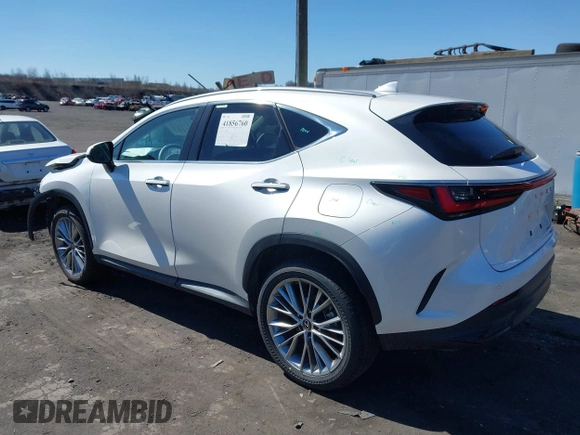 2025 Lexus NX with VIN 2T2GGCEZ1SC067262, listed as a IAAI auction lot 41856760 with 4,217 mi miles. Bid and sale history available at carsss.com. Image 3.