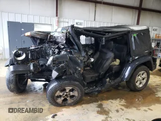 2016 Jeep Wrangler Unlimited Sahara with VIN 1C4BJWEG2GL169251, listed as a Copart auction lot 51836075 with Not provided miles and Salvage title. Bid and sale history available at DreamBid. Image 1.