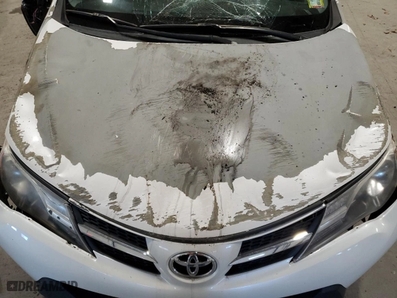 2014 Toyota RAV4 Limited with VIN 2T3DFREV1EW206987, listed as a Copart auction lot 54380345 with 0 mi miles and Non Repairable. Bid and sale history available at carsss.com. Image 14.