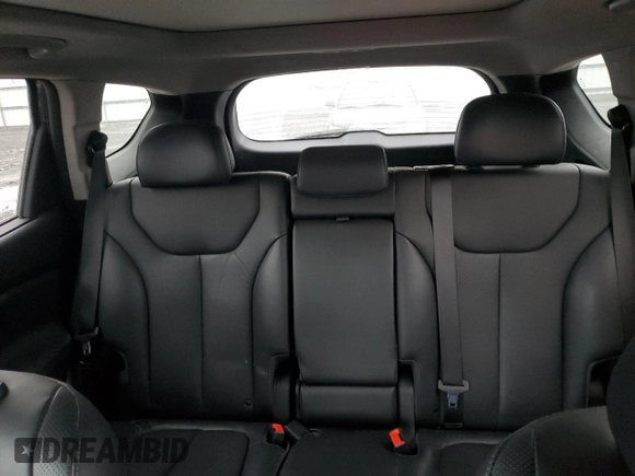 2020 Hyundai Santa Fe Limited with VIN 5NMS5CAA8LH213883, listed as a Copart auction lot 88423355 with 55,410 mi miles and Salvage Title. Bid and sale history available at carsss.com. Image 10.