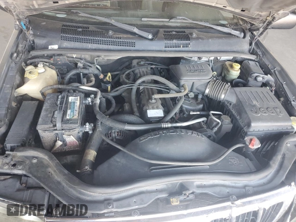 2000 Jeep Grand Cherokee Laredo with VIN 1J4GW48S0YC253091, listed as a Copart auction lot 60357255 with 218,410 mi miles and Clean title. Bid and sale history available at DreamBid. Image 11.