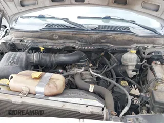 2002 Dodge 1500 with VIN 1D7HA18Z22S726173, listed as a IAAI auction lot 41548355 with 259,787 mi miles and . Bid and sale history available at DreamBid. Image 10.